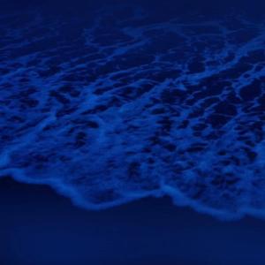 免费特黄特色一极毛片
