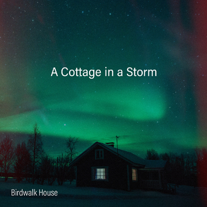 免费特黄特色一极毛片
